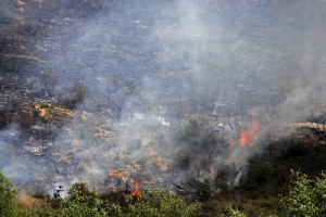 ¡Bolsa de empleo para personal de incendios forestales en Segovia!