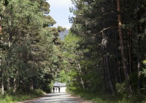 Castilla y León lidera la superficie en España con certificado de gestión forestal sostenible