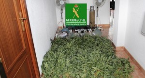 Desmantelado un laboratorio para cultivar marihuana en El Espinar