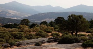 Navafría y El Espinar contarán con dos centros de visitantes del Parque Nacional del Guadarrama
