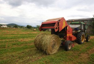 Unión de Campesinos de Segovia-UCCL advierte de que se producen aún 37 robos al día en las explotaciones agraria