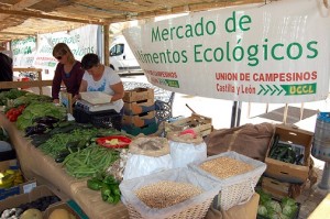 Sábado de mercado ecológico