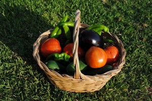 Cocinar rico y saludable en la Huerta de San Lorenzo