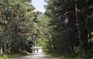 Los castellano-leoneses demandan más puntos de reciclaje en espacios naturales