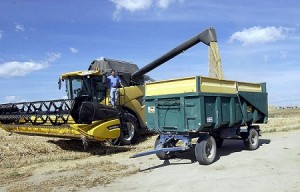 Asaja  y califica la cosecha de cereal como “mala” al bajar en un 40% la media de los últimos años