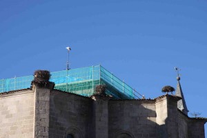 Azálvaro ve peligrar el vínculo de las cigüeñas con la iglesia de San Eutropio en El Espinar