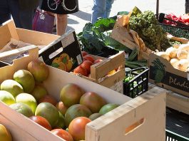 El mercado ecológico se traslada a la Plaza de Toros