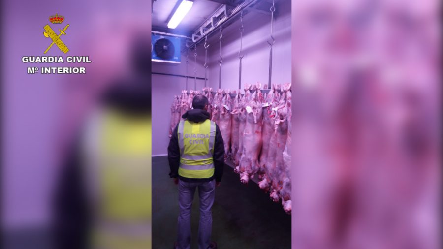 Se investiga a dos personas por supuestas irregularidades en el etiquetado de corderos