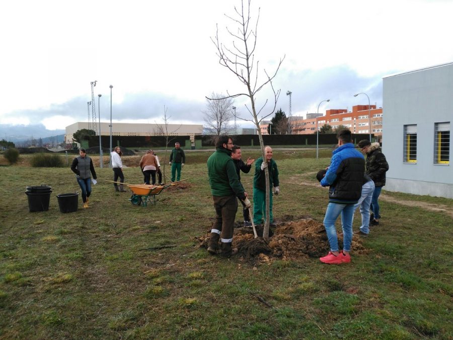 Segovia celebra el «Día del Árbol» con la plantación de más de medio centenar de ejemplares