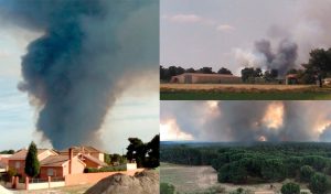 UCCL Segovia destaca la participación de vecinos y agricultores en el control del incendio forestal en Nieva