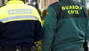 Descienden las infracciones penales en Segovia