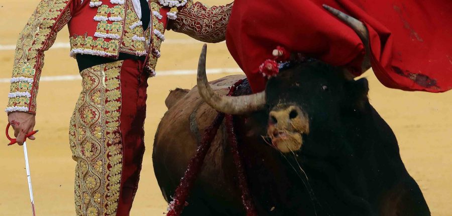 Las Cortes piden incluir la tauromaquia en el bono cultural