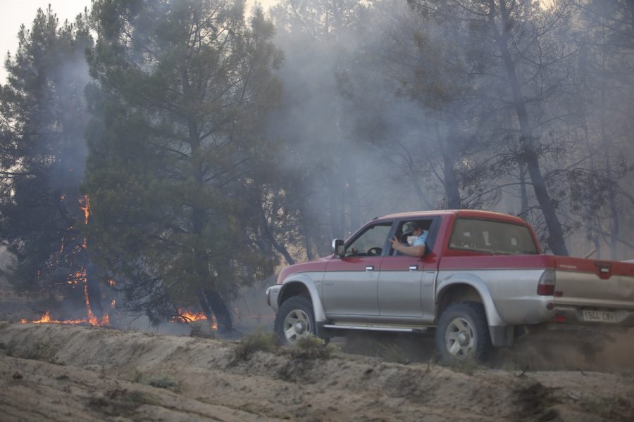 El incendio de Navalilla convierte 461 hectáreas de masa arbolada en cenizas