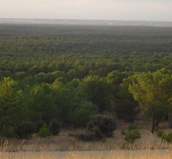 II Fin de Semana Turístico por Tierra de Pinares