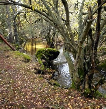 ‘Arqueología del Agua’, excursión por el tramo menos conocido del Acueducto de Segovia
