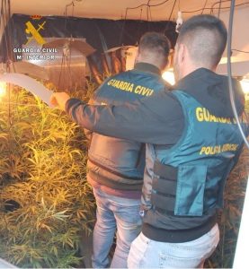 Un detenido al desmantelar un laboratorio de marihuana en la comarca de Sepúlveda