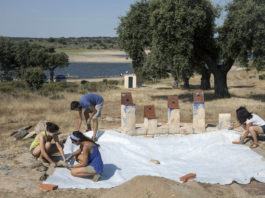 Convocado el Programa Campos de Trabajo de Voluntariado Juvenil para este año