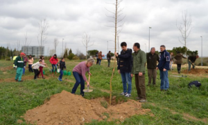 Palazuelos, Torrecaballeros y Nueva Segovia se unen a la iniciativa de plantar árboles de GreenFriends