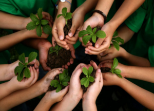 Los centros escolares están a tiempo de participar en ‘Creando Biodiversidad en mi Huerto’