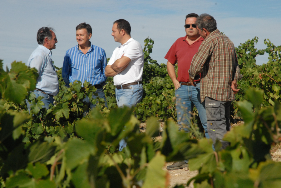 La calidad de la uva y el vino de la familia Herrero es premiada por la Diputación