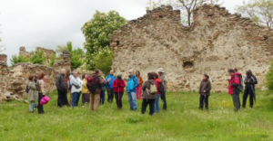 Se organiza la excursión didáctica ‘El paisaje de la lana’, para rememorar la transhumancia