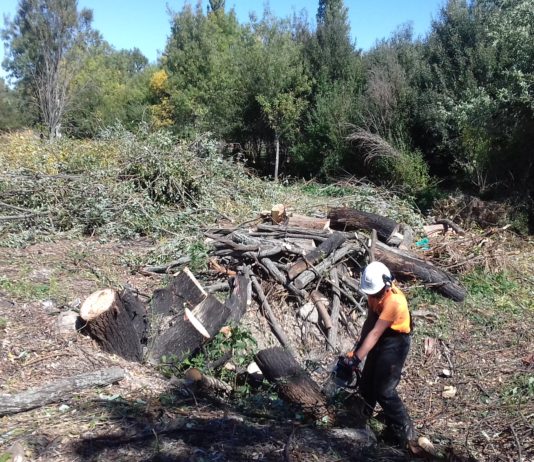 419.000 euros para prevenir incendios