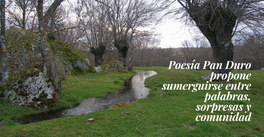 ‘Poesía Pan Duro’: inmersión poética total en Brieva