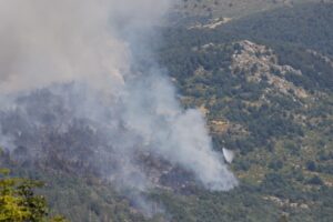 Numerosos efectivos trabajan en la extinción de un incendio de nivel 1 declarado en el Real Sitio de San Ildefonso (Segovia)