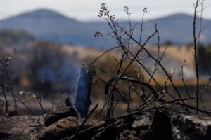 Extinguido el incendio de pastos declarado ayer en Otero de Herreros