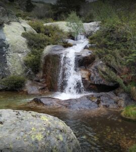 Los técnicos de la Junta abordan sobre el terreno la restauración hidrológica en la Sierra de Guadarrama
