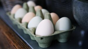 Paralizada la comercialización de huevos de la granja sospechosa del brote de salmonela en Vizcaya