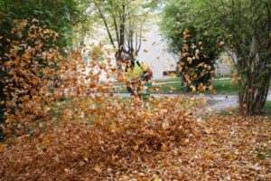 Cinco planes para disfrutar del otoño en Segovia y provincia
