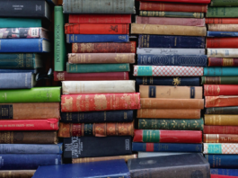 Segovia homenajea a cuatro célebres escritores y a Juan Bravo