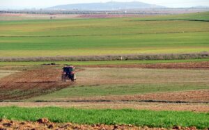 Los agricultores de Castilla y León declaran 5,2 millones de hectáreas para la PAC de 2021