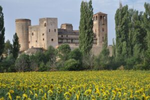 El Condado de Castilnovo en Segovia, la casa más cara de Castilla y León