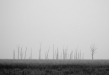 Este es el punto con la temperatura más baja de la provincia segoviana esta madrugada