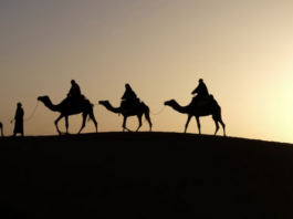 ¿Cuánto tiempo tardarían los Reyes en repartir los regalos en coche?