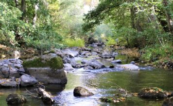 La CHD inicia la retirada de un azud abandonado en el río Cega