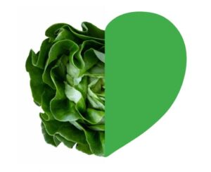 Mercado de productos ecológicos en Segovia el sábado 4 de enero