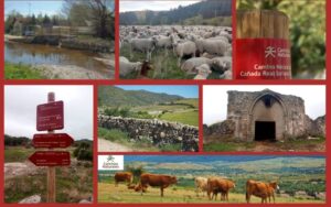 Excursión didáctica por los caminos naturales: La Cañada Real Soriana Occidental