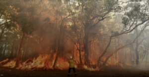 Doce ministerios trabajan este verano contra los incendios forestales