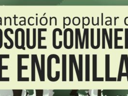 Última jornada de plantación en Encinillas