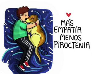 Las consecuencias de la pirotecnia