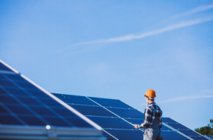 La Red Ambientalista de Segovia se opone a la instalación de una estación fotovoltaica