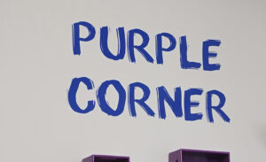 Concurso para estimular la creación de «Puntos Violeta» en centros educativos de Segovia