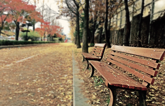 El silencio del COVID-19