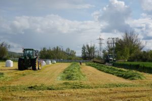 Castilla y León amplía las ayudas para la incorporación de jóvenes agricultores