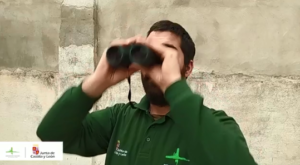 La naturaleza de Castilla y León siempre te esperará