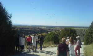 El turismo rural de Segovia pronostica un buen verano