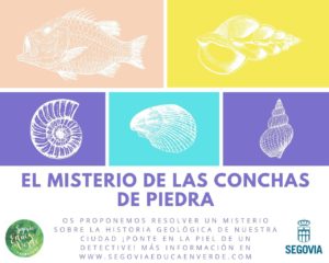 «El misterio de las conchas de piedra», nueva actividad online de Segovia Educa en Verde